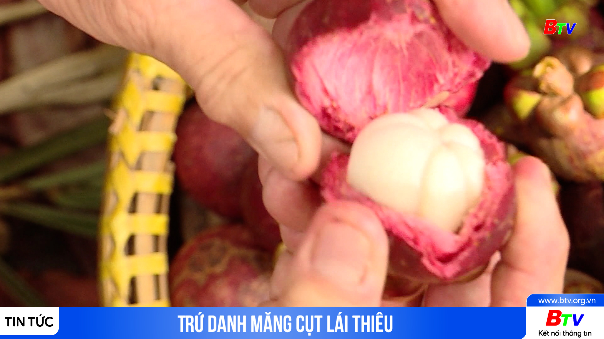 Trứ danh măng cụt Lái Thiêu